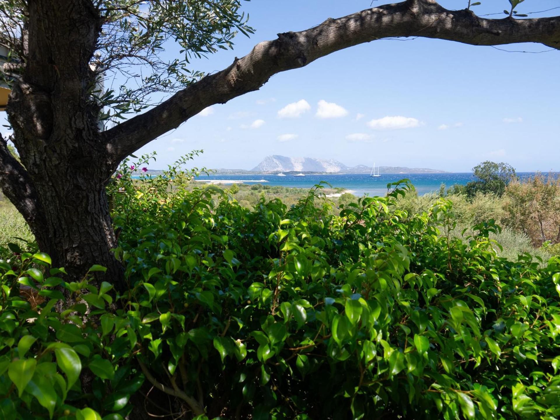 Villa Minda Lodge & View 圣特奥多罗 外观 照片